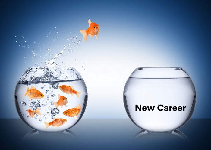 New career, career change, fish jumping out of water in a new bowl labelled new career